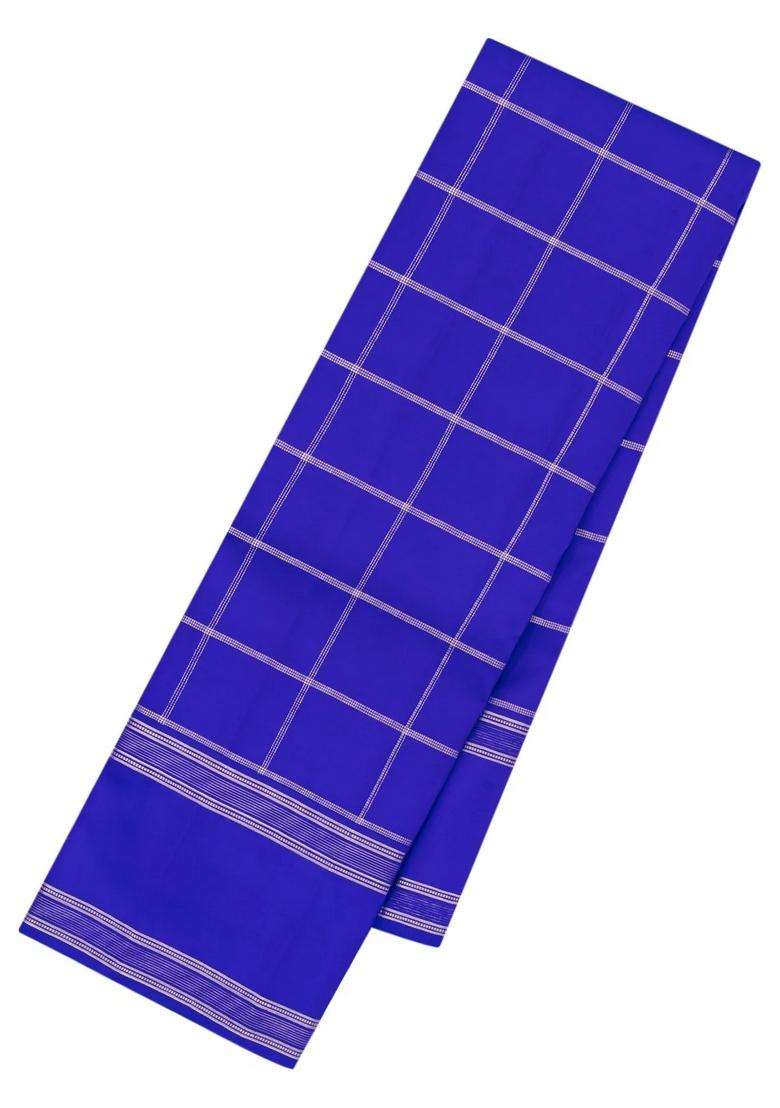 Blue Woven Pure Silk Saree With Zari Checks With Checks And Stripes Design For Women - Indya