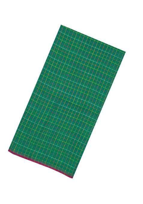 Green Handloom Bengal Cotton Saree With Dotted Checks With Checks And Stripes Design For Women