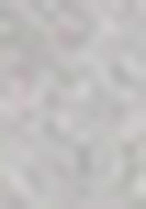 Multi Color Printed Muslin Pant