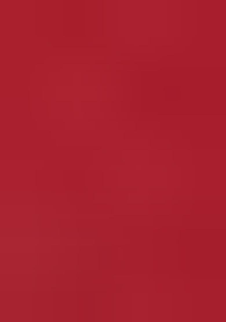 Red Embroidered Silk Dress