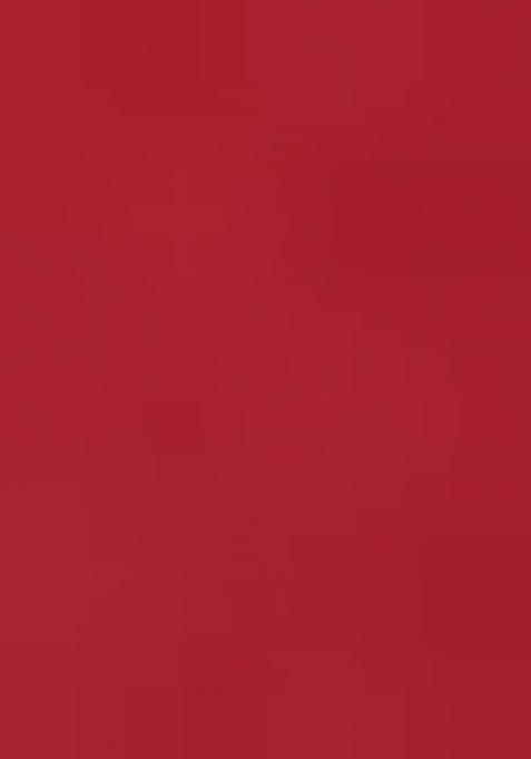 Red Embroidered Silk Dress