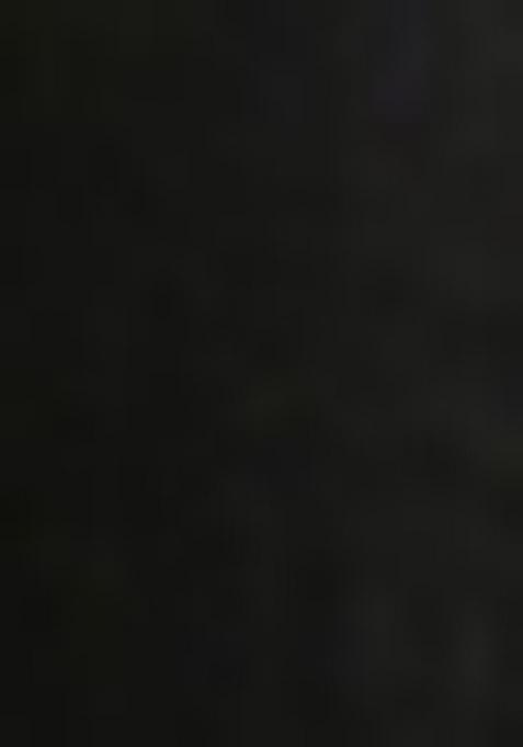 Black Embroidered Cotton Dress