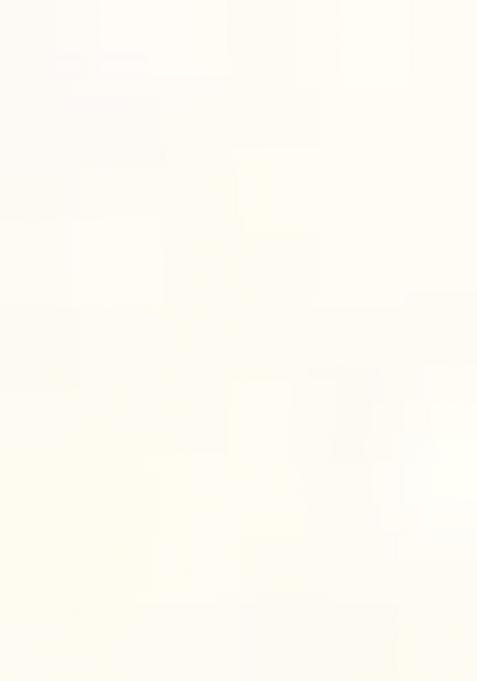 White Solid Silk Dress