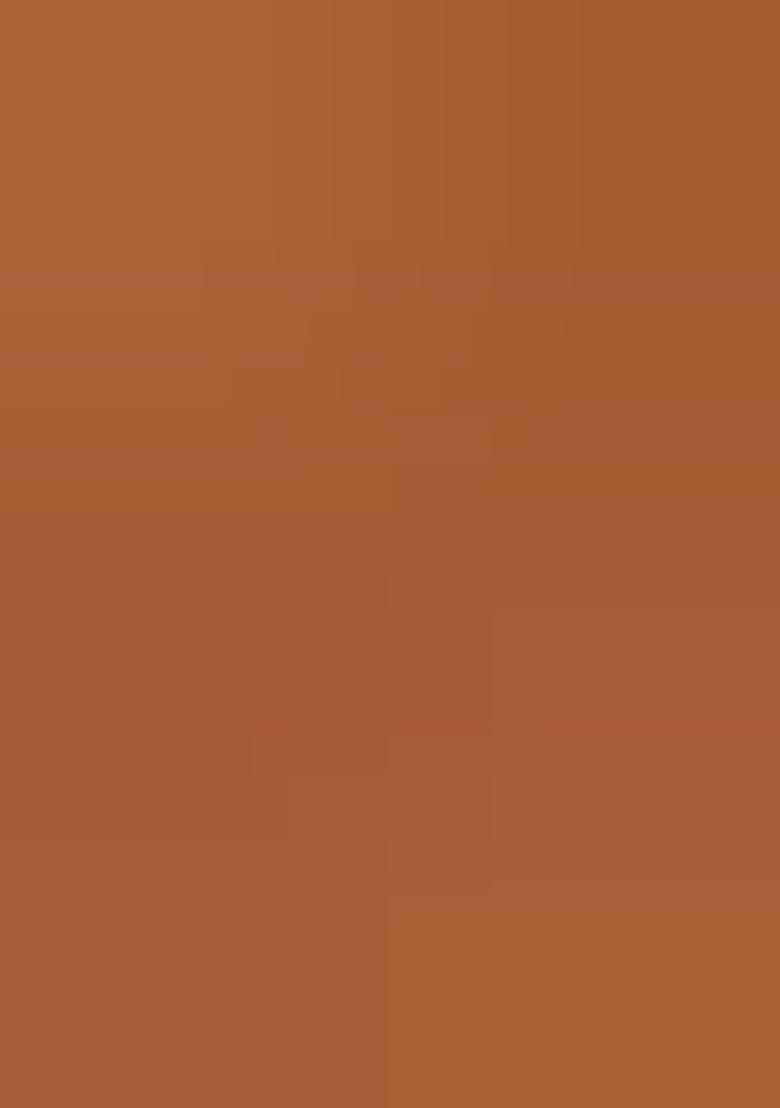 Rust Orange Printed Chanderi Dress