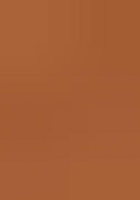 Rust Orange Printed Chanderi Dress