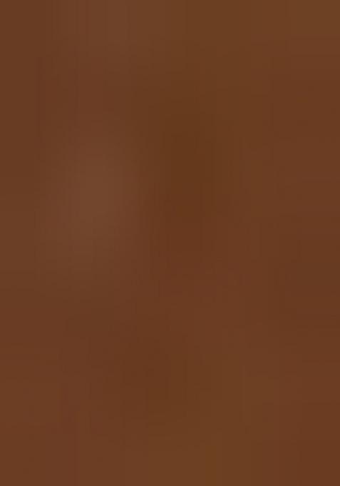 Brown Solid Silk Dress