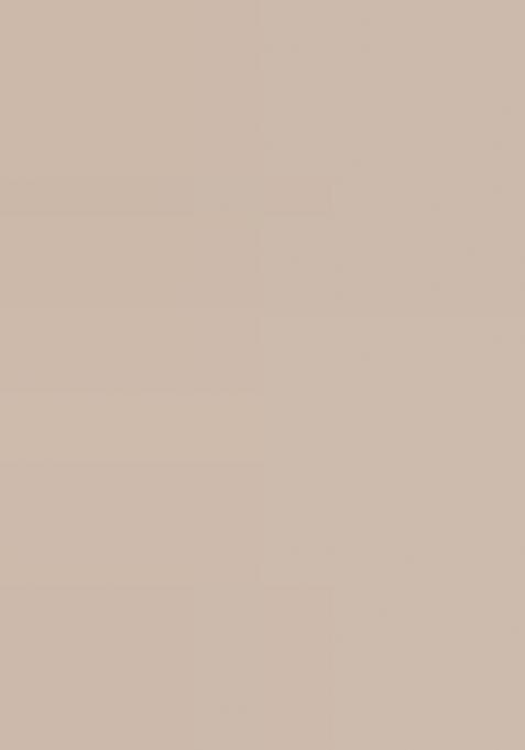 Green And Beige Printed Chanderi Dress