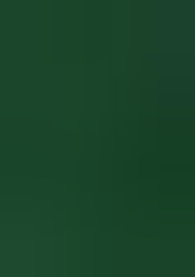 Green Solid Silk Dress