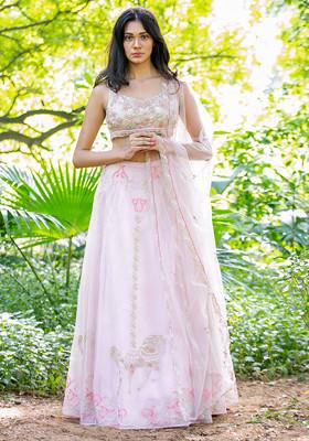 Blush Pink Sequin Embroidered Lehenga Set