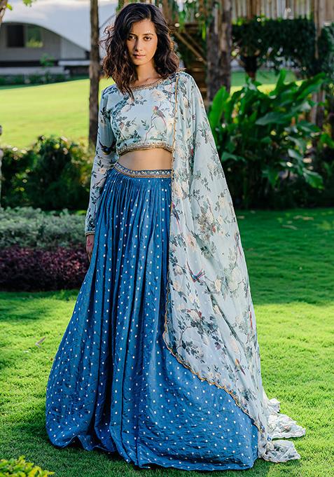 Powder Blue Printed And Embroidered Lehenga Set