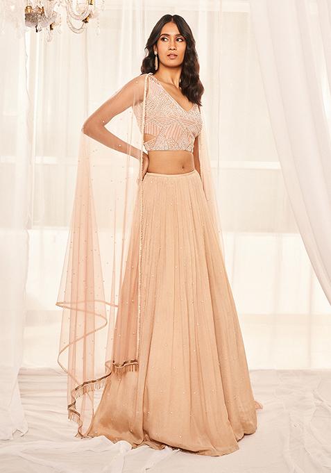 Blush Pink Embroidered Chiffon Lehenga Set