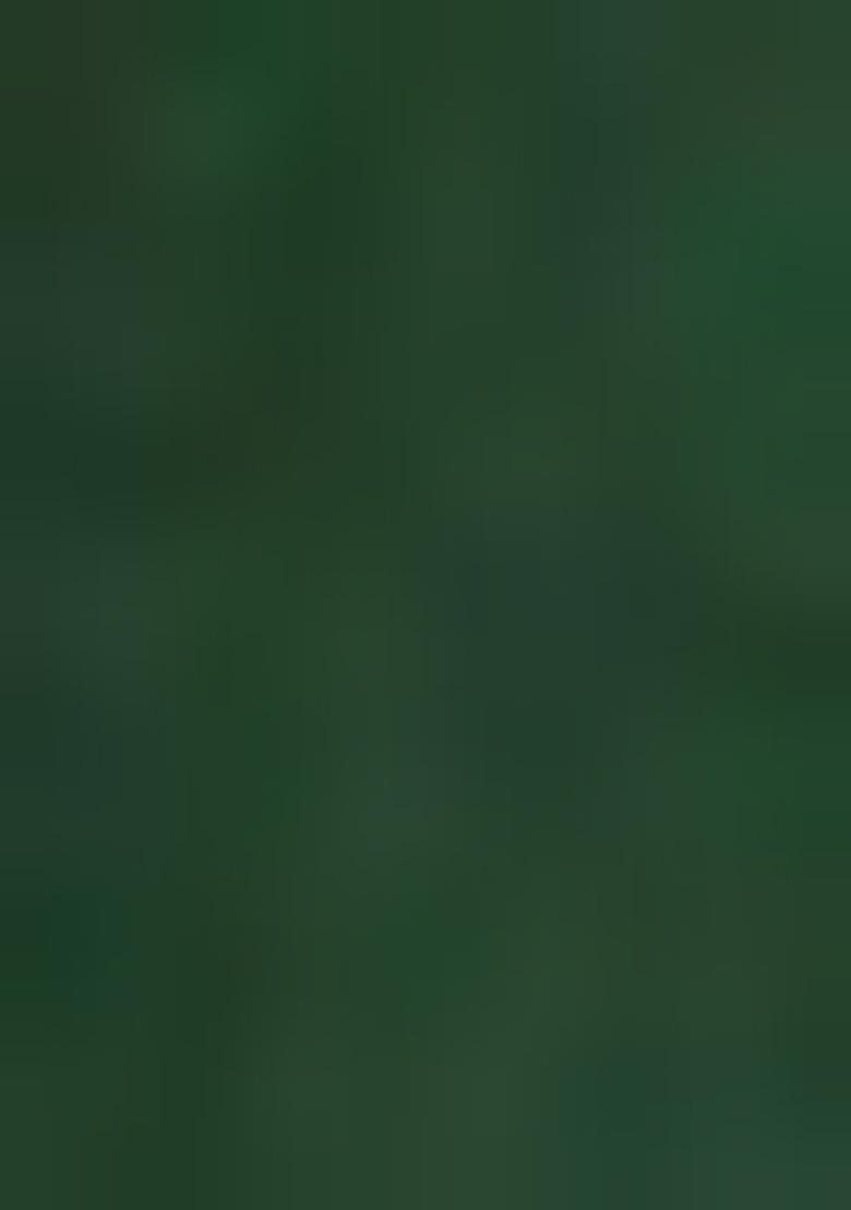 Green And Ivory Solid Silk Lehenga Set