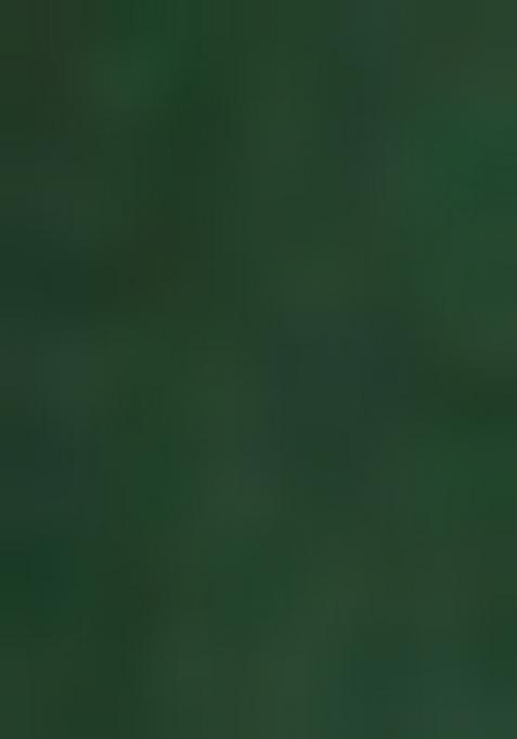 Green And Ivory Solid Silk Lehenga Set