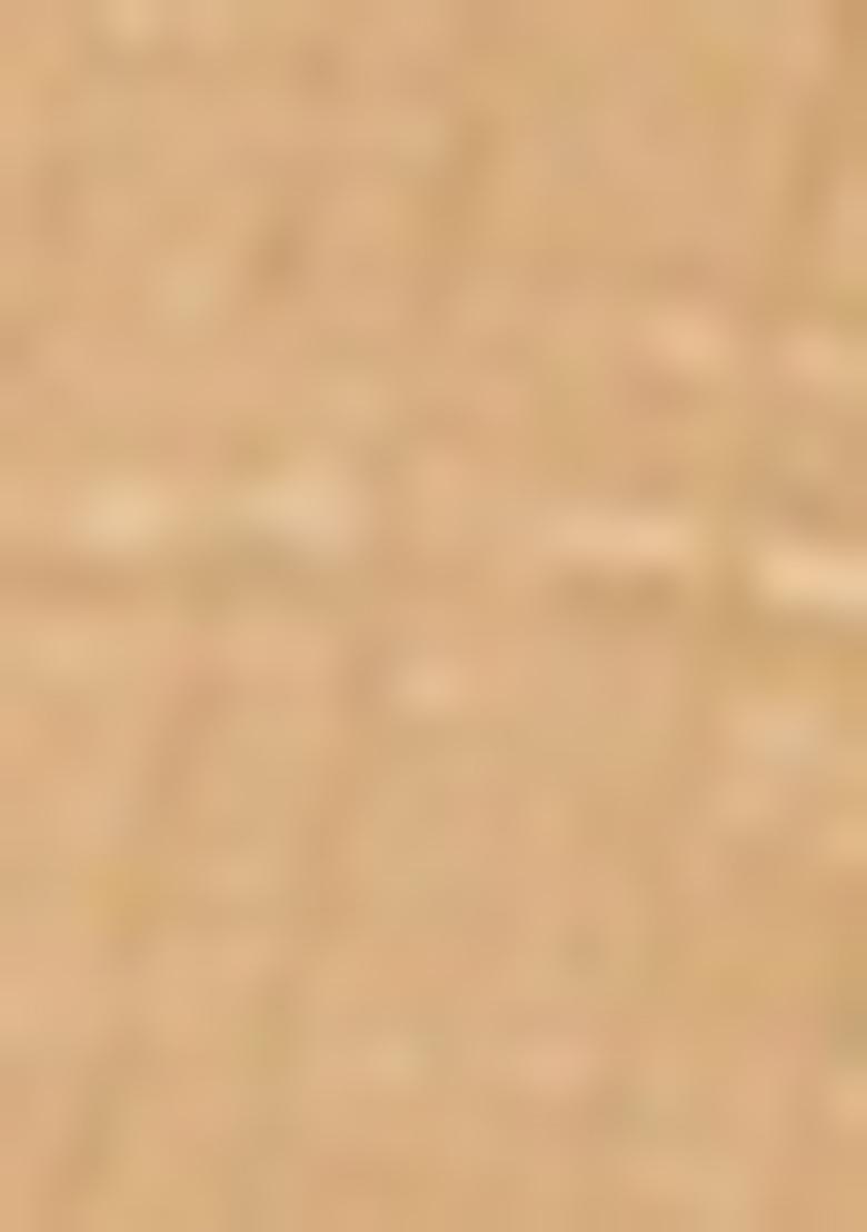 Gold And Brown Printed Silk Lehenga Set