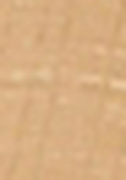 Gold And Brown Printed Silk Lehenga Set