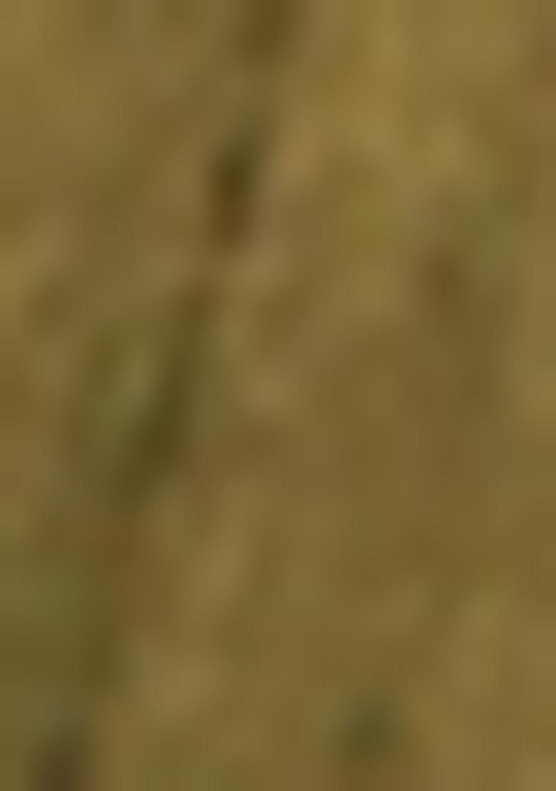 Green And Brown Printed Silk Lehenga Set