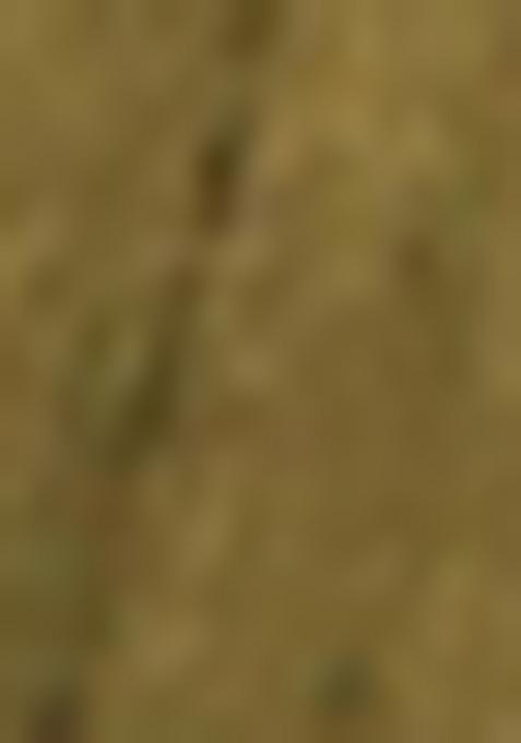 Green And Brown Printed Silk Lehenga Set