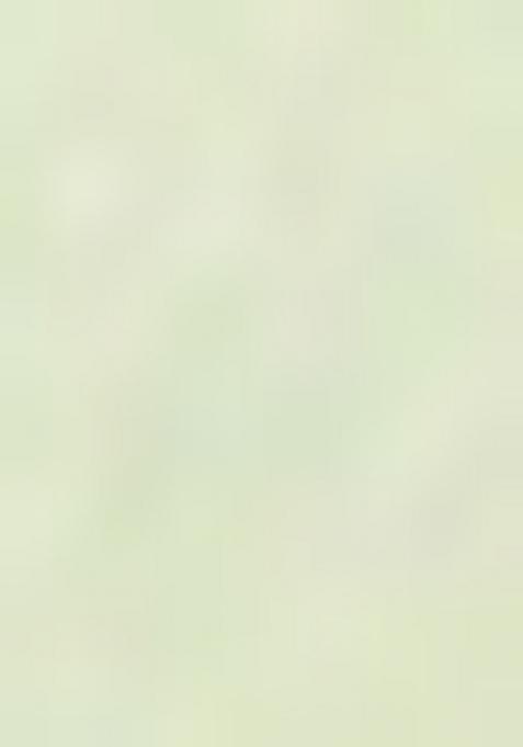 Green Solid Cotton Lehenga Set