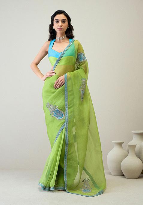 Vibrant Green Zari Embroidered Silk Organza Saree Set