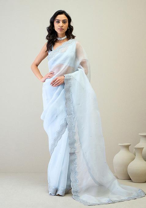 Ice Blue Zari Embroidered Silk Organza Saree Set