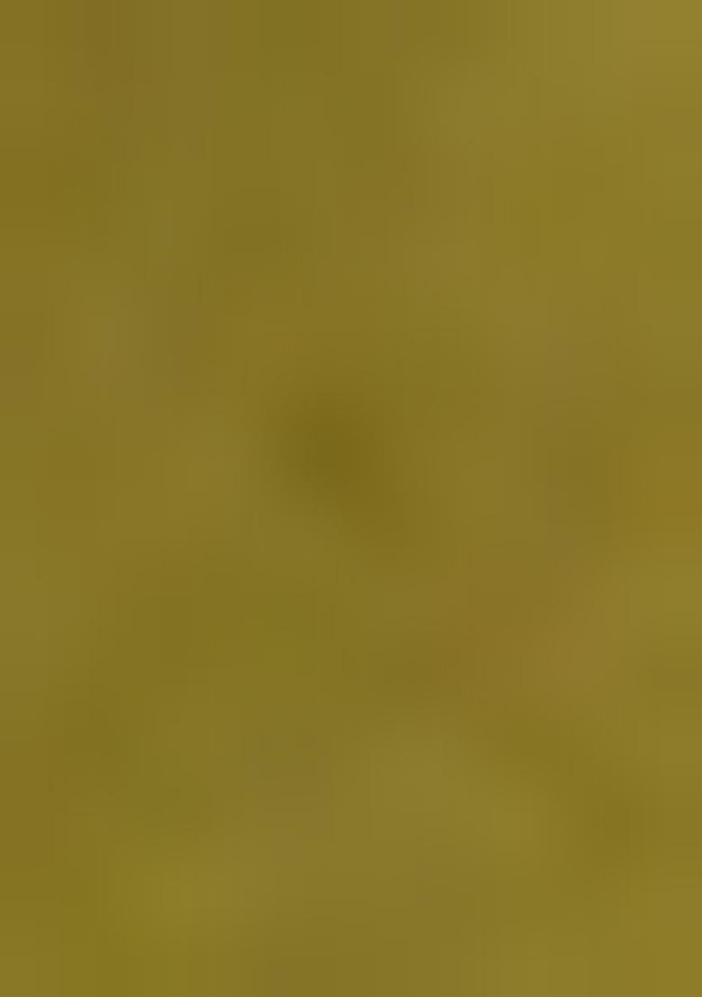 Green Embroidered Organza Saree