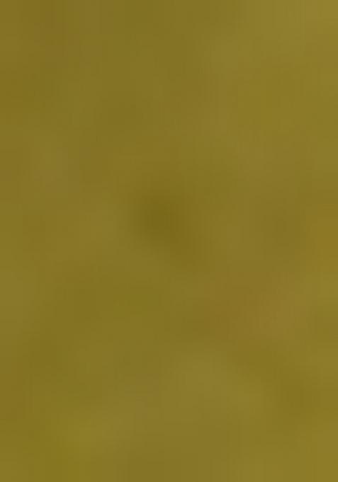 Green Embroidered Organza Saree