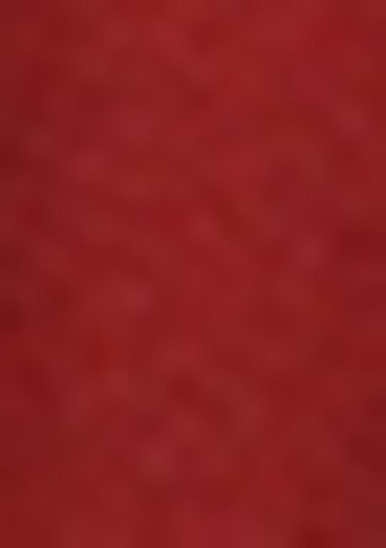 Red Printed Lycra Nehru Jacket Set For Boy