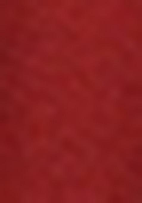 Red Printed Lycra Nehru Jacket Set For Boy