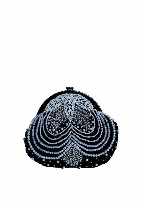 Embellished Purse Clutch