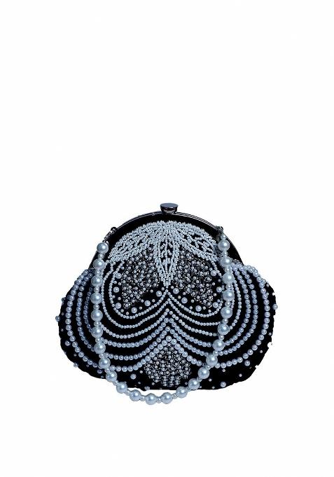Embellished Purse Clutch