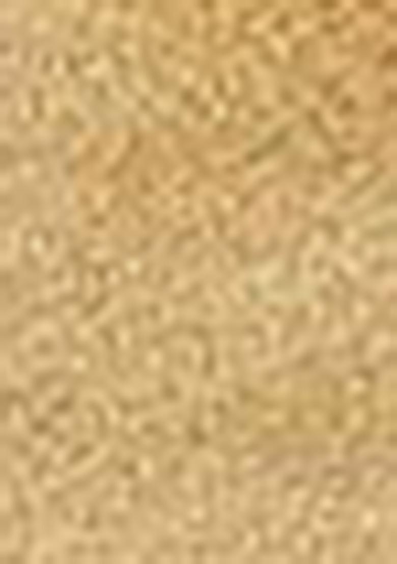 Golden Embroidered Silk kurta Set For Boys