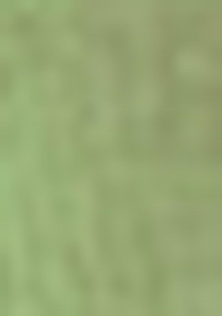 Pista Green Solid Banarasi Silk Angrakha For Boys