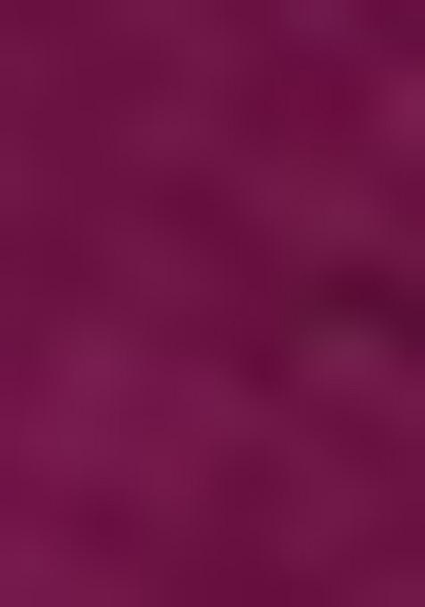 Bright Purple Solid Banarasi Silk Indo Western Sherwani For Boys