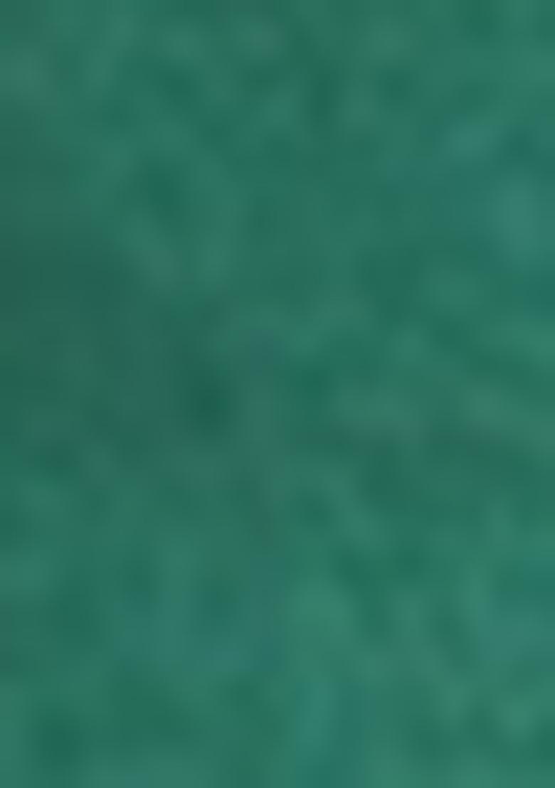 Sea Green Embroidered Banarasi Silk Kurta For Boys