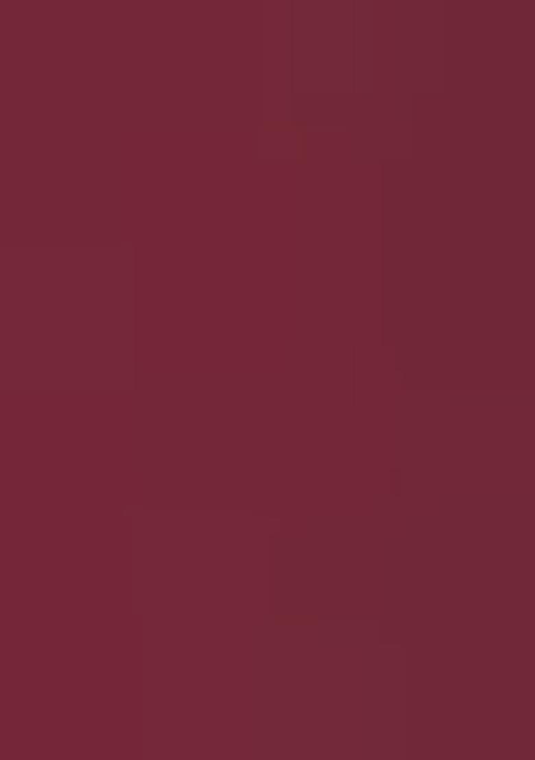 Maroon Sequin Embroidered Georgette Blouse