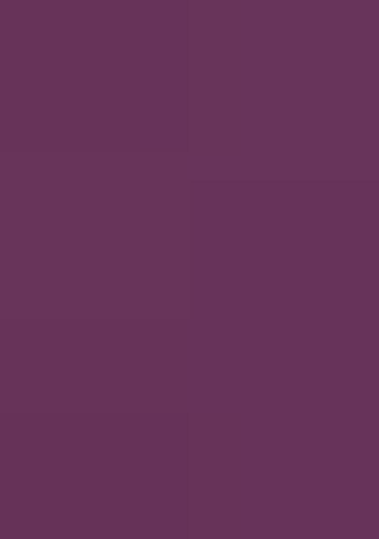 Wine Sequin Embroidered Georgette Blouse