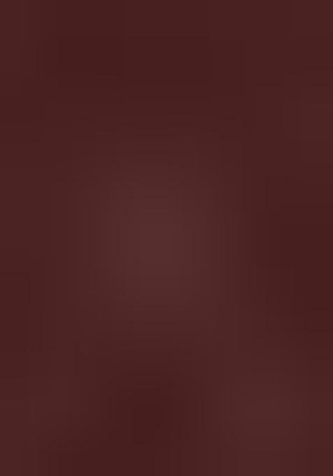 Maroon Stretchable Embroidered Blouse main image 0