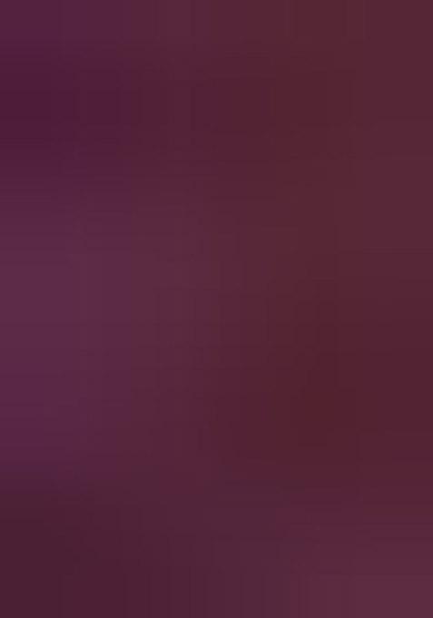 Wine Zari Work Art Silk Blouse