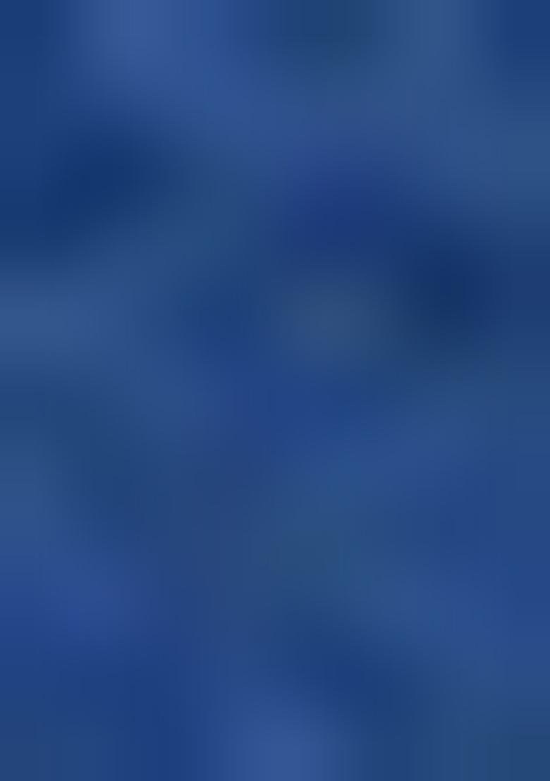 Dark Blue Embroidered Silk Blouses