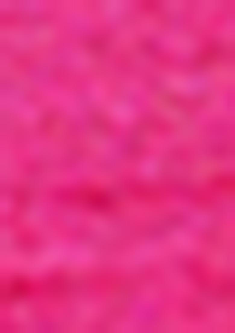 Hot Pink Dupion Silk Lace Stitched Blouse - Indya