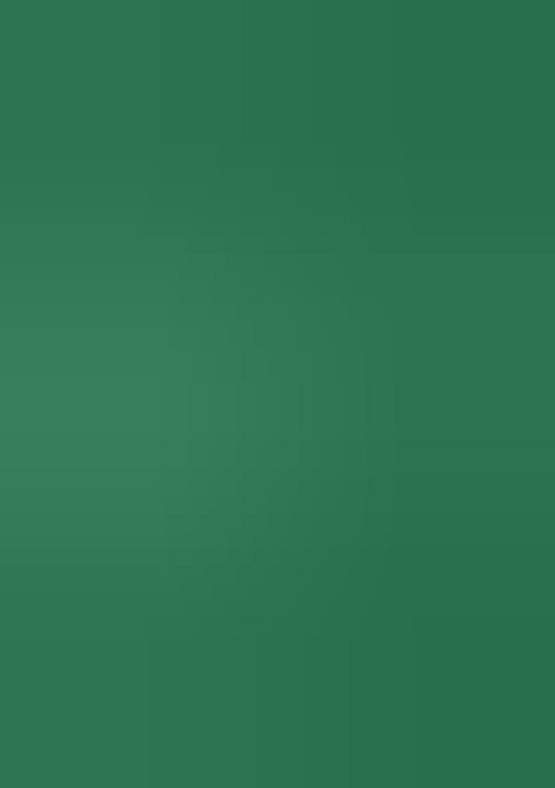 Green Front Hook Closure Banglori Silk Blouse