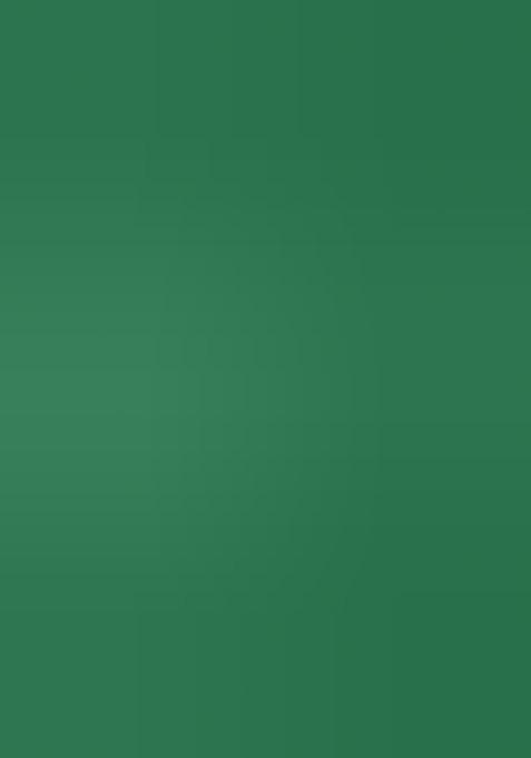 Green Front Hook Closure Banglori Silk Blouse