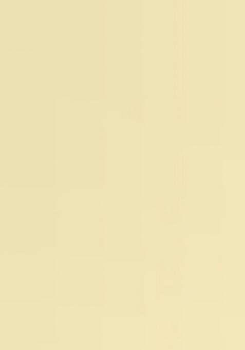 Lemon Yellow Back Hook Closure Art Silk Blouse