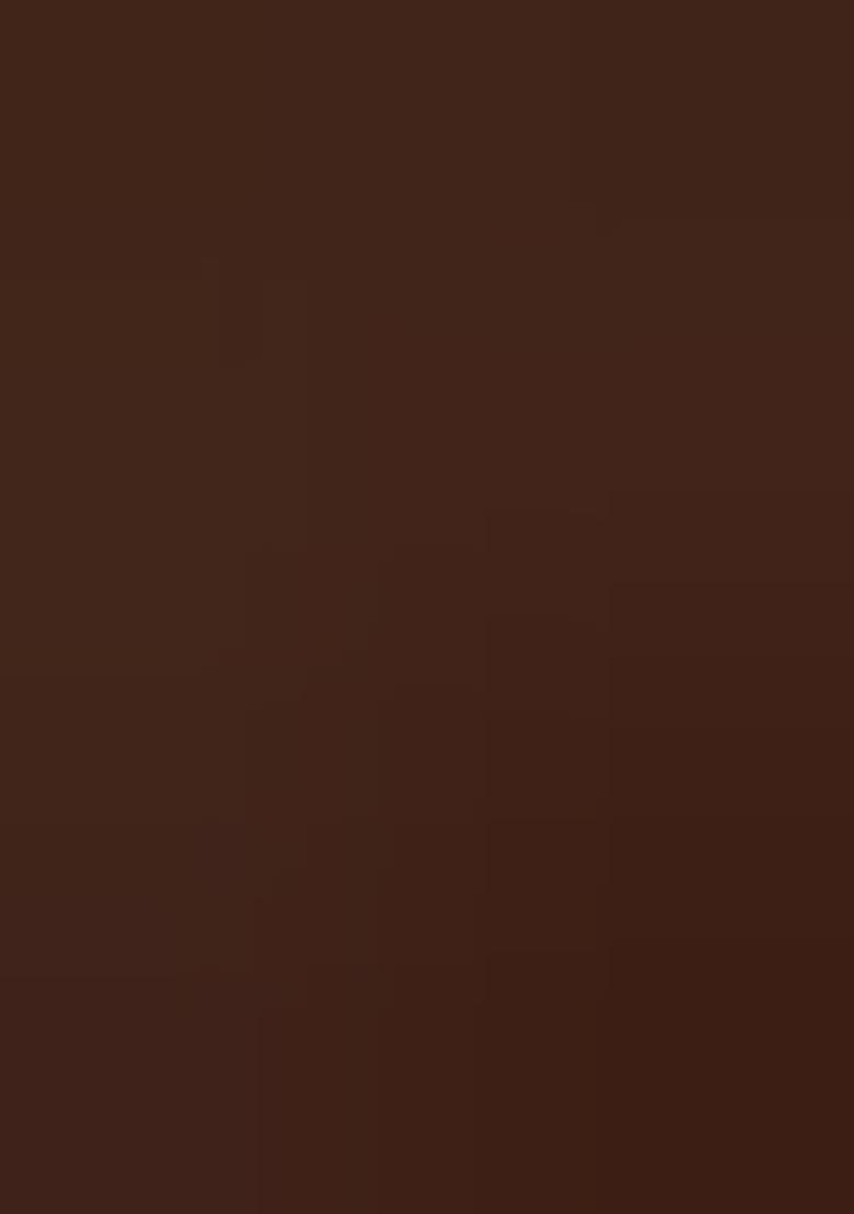 Brown Back Hook Closure Art Silk Blouse