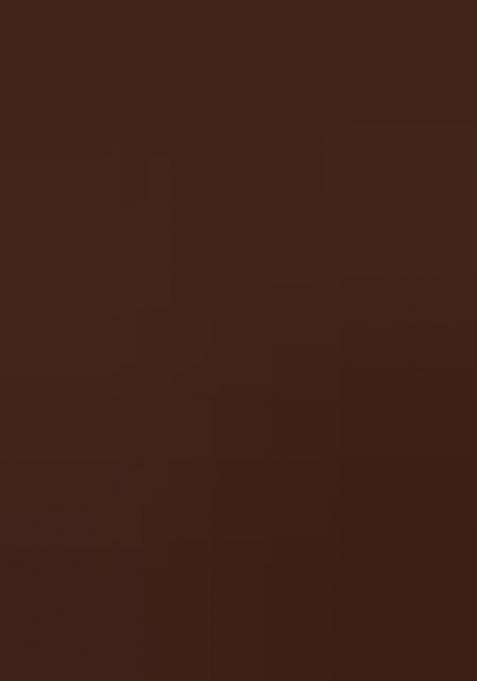 Brown Back Hook Closure Art Silk Blouse