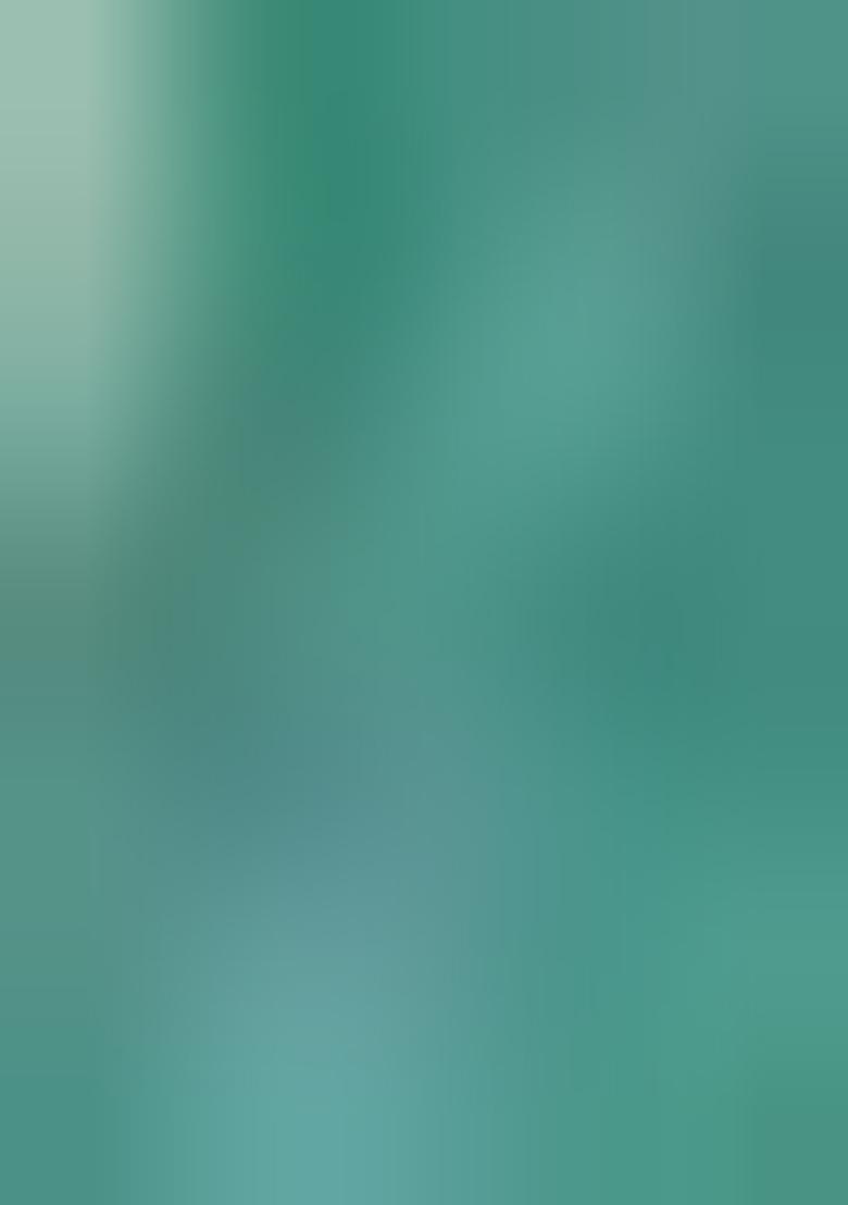 Pista Green Hand embroidery Poly Jacquard Blouse