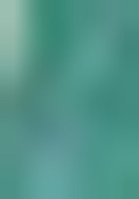 Pista Green Hand embroidery Poly Jacquard Blouse