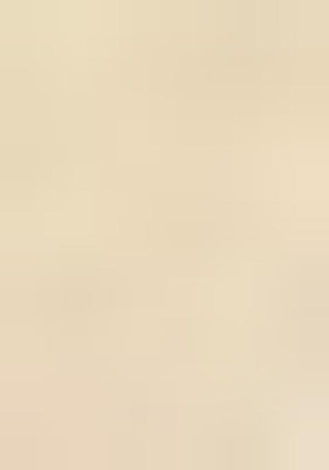 Gold Hand embroidery Poly Shifli Blouse