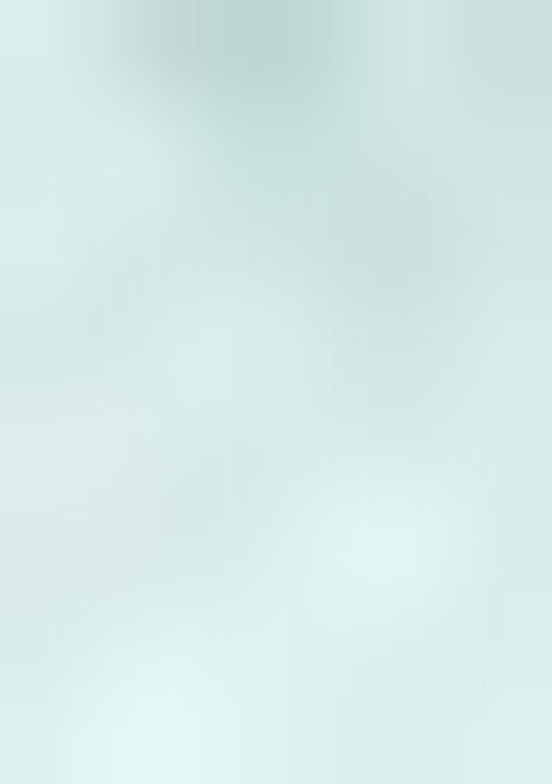 Pista Green Hand embroidery Poly Shifli Blouse