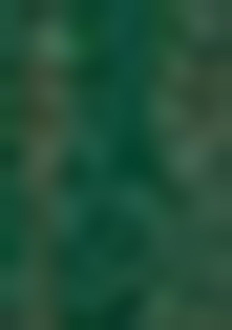 Dark Green Hand embroidery Poly Mulbury Silk Blouse - Indya